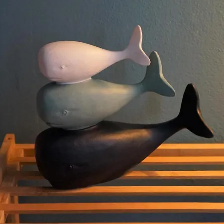 Venus And The Sea Daire